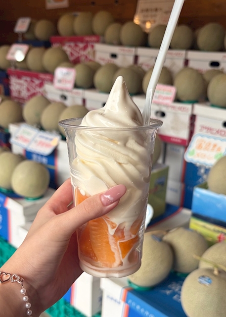 ピックアップニュース ゆあん、ほっかいどーでっかいどー🗾