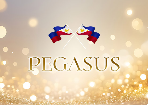 ポケパラ体入 PEGASUS・ペガサス - 春日井のインターナショナルパブスタッフ募集