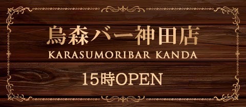 烏森バー神田店・カラスモリバーカンダテン - 神田のガールズバー
