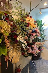 Allure・アリュール - いわき市・平のラウンジ 店舗写真