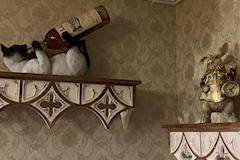 ラウンジ陽月・ひづき - 名古屋 錦のクラブ/ラウンジ 店舗写真