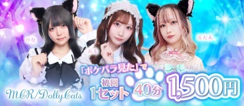 MRC/Dolly Cats・エムアールシードーリーキャッツ - 秋葉原のコンカフェ