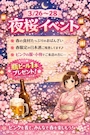ピックアップニュース 🌸夜桜イベント開催🌸
