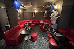 ぽっちゃりASK 錦糸町店・ポッチャリアスク - 錦糸町のパブ/スナック 店舗写真