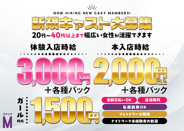 古河・東口パブ/スナック・スナック Mの求人