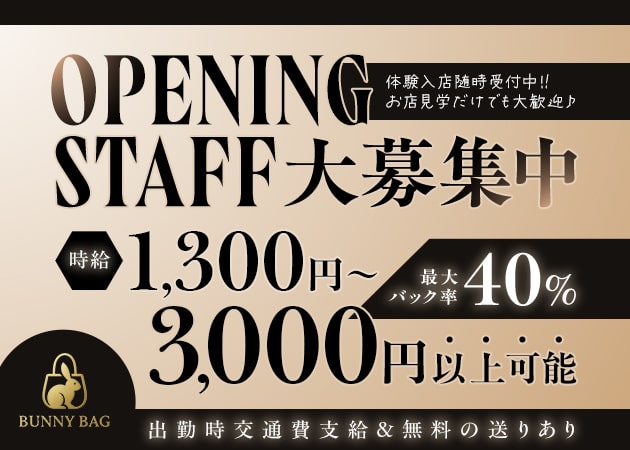 ミナミコンカフェ・バニーバックの求人