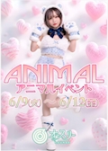 ピックアップニュース 💖 アニマルイベント開催 💖