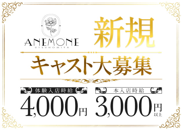 JR宇都宮キャバクラ・ANEMONEの求人