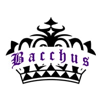 Bar Bacchus - 大和のスナック/バー