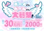 ピックアップニュース ボーイさん・ガールさん大募集！