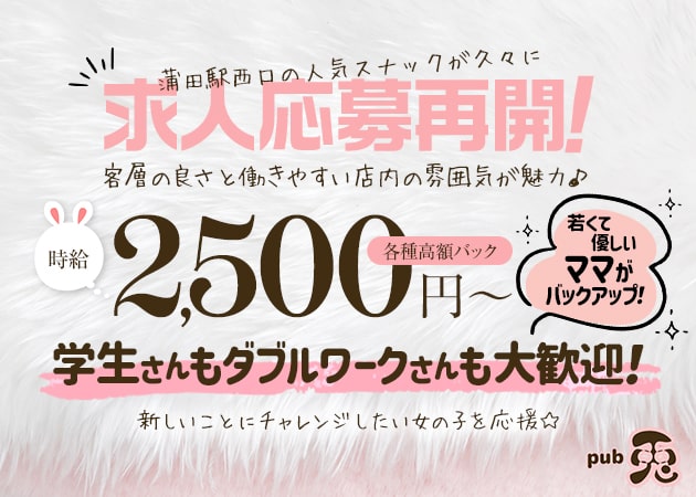 蒲田西口パブ/スナック・pub 兎の求人