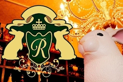 Rabbit Lovers Cafe・ラビットラバーズカフェ - 秋葉原のコンカフェ 店舗写真