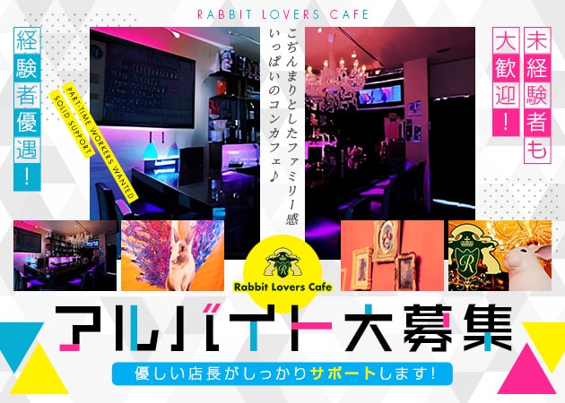 「Rabbit Lovers Cafe」スタッフ求人