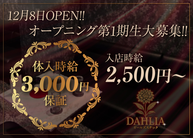 赤坂パブ/スナック・DAHLIAの求人