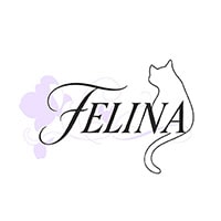FELINA - 西田辺のスナック