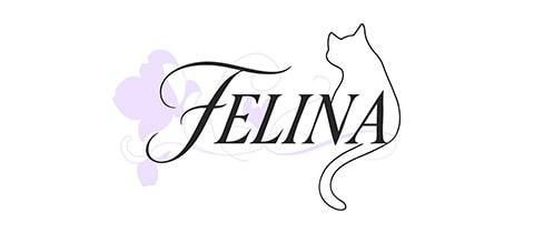 FELINA・フェリナ - 西田辺のスナック