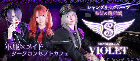 Shangri-La Violet・シャングリラバイオレット - すすきのコンカフェ