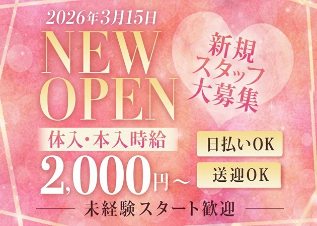 古河・東口パブ/スナック・AZの求人