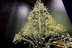 Lounge 心音 cocone・ココネ - 国分町のラウンジ 店舗写真