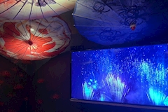 華月・カゲツ - すすきののコンカフェ 店舗写真