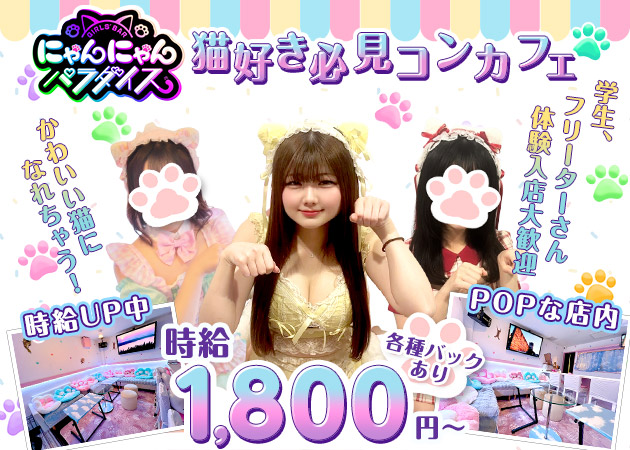 にゃんにゃんパラダイス 職種：カウンターレディ
