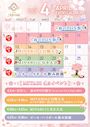 ピックアップニュース 🌸4月のイベント情報🌸