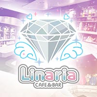 Linaria - 三宮のコンカフェ