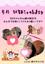 ピックアップニュース 5月はるBirthday- ̗̀ 🎂  ̖́-