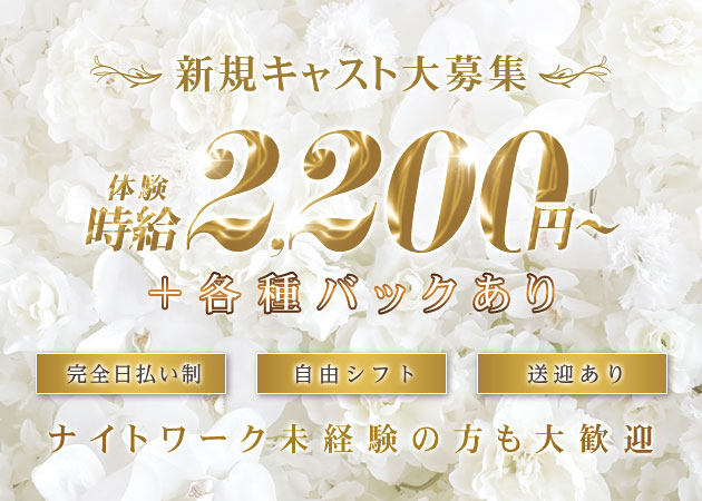 青森市キャバクラ・new club VEGAの求人