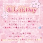ピックアップニュース 推し花Day🌸