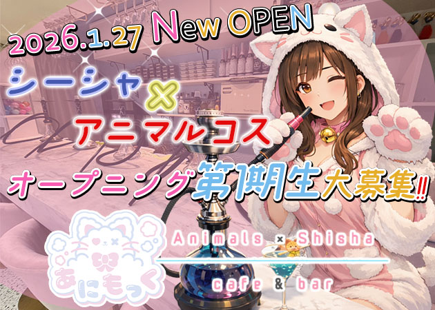 ポケパラ体入 あにもっく・アニモック - 志木のコンカフェスタッフ募集