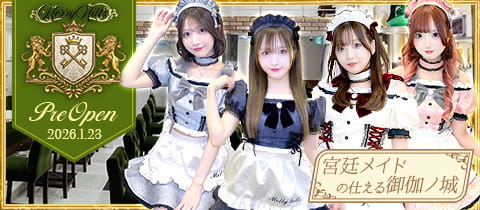 MERRY HILLS・メリーヒルズ - 秋葉原のコンカフェ