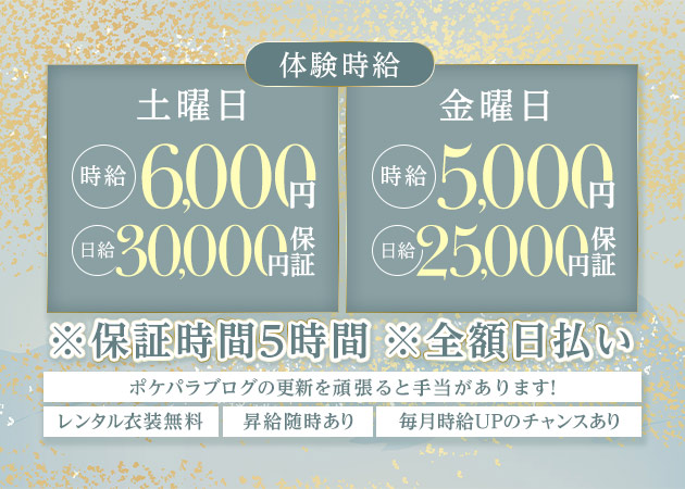 ポケパラ体入 Lounge あたら夜・あたらよ - 安城のクラブ/ラウンジスタッフ募集