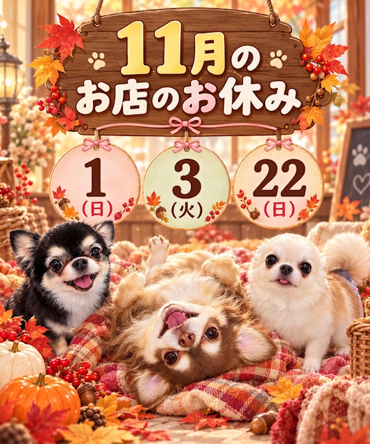 ピックアップニュース 🍁11月のお休みのお知らせ🍁