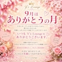 ピックアップニュース 🌸🌸 9月はありがとうの月🌸🌸
