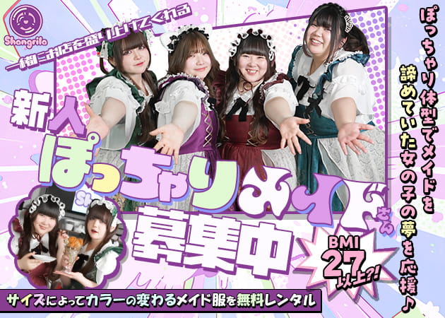 秋葉原コンカフェ・Shangrilaの求人