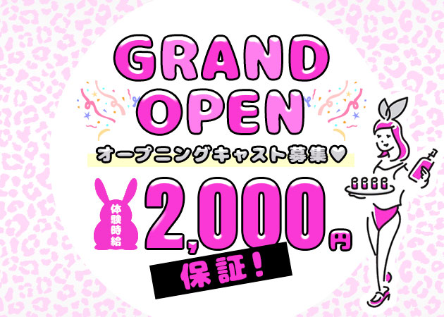 GIRLS BAR GEKO 職種：カウンターレディ