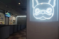 High School Bar PAG・ハイスクールバー パグ - 鹿児島県・天文館のガールズバー 店舗写真