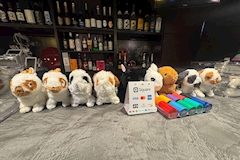 K-STYLE・ケースタイル - 金沢片町のガールズバー 店舗写真