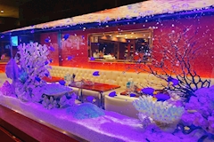 木蘭・ムーラン - 銀座のパブ/スナック 店舗写真
