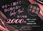ピックアップニュース 【女性求人】体入時給2,000円+各種バック+厚待遇★