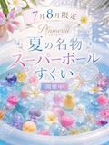 ピックアップニュース 8月のイベント情報𓂃𓂂ꕤ*.゚
