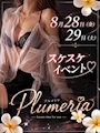 ピックアップニュース 8月のイベント情報𓂃𓂂ꕤ*.゚