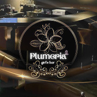 店舗写真 girl's bar Plumeria・プルメリア - 錦糸町のガールズバー