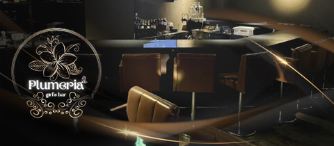 girl's bar Plumeria・プルメリア - 錦糸町のガールズバー