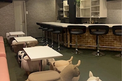 Rainforest Siren・レインフォレスト・サイレン - 西中島のコンカフェ 店舗写真