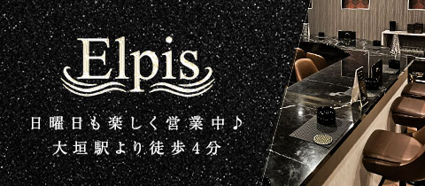 Elpis・エルピス - 岐阜 大垣 のスナック