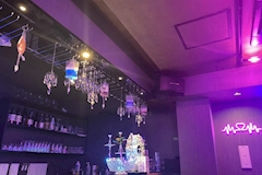 ばぐ×カルテ♡ - 六本木のガールズバー 店舗写真