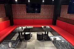 Arva・アルヴァ - 新橋のガールズバー 店舗写真