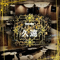 ピックアップニュース 📢【ポケパラ掲載スタート✨今だけ限定クーポン‼️】